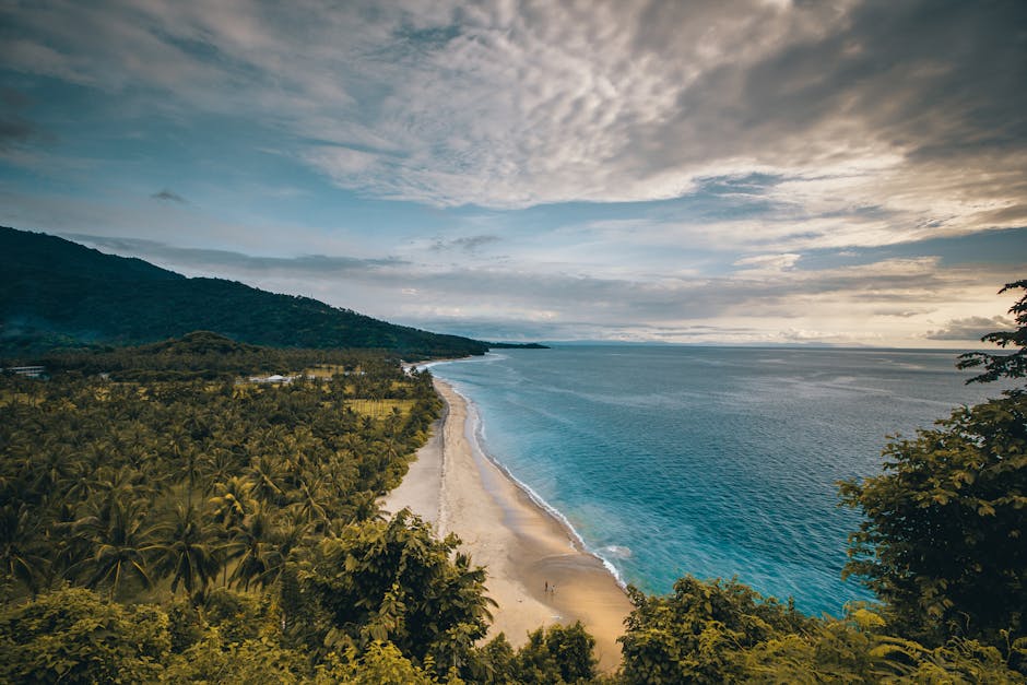 Stunning aerial view of a tranquil coastline in Nusa Tenggara, Indonesia, showcasing lush greenery and sandy beaches.